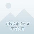空间符箓掌控者