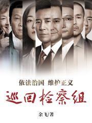 巡回检察组原著小说