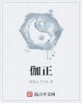伽正