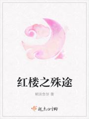 红楼之殊途